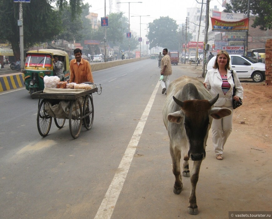 Фатихпур-Сикри — затерянный город. Агра — индийское разочарование
