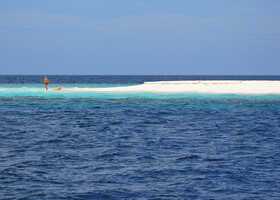 Бюджетный снорклинг и акулинг на острове Маафуши