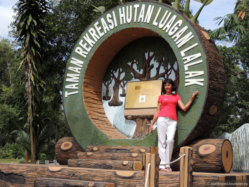 Лесной заповедный парк Taman Rekreasi Hutan Luagan Lalak