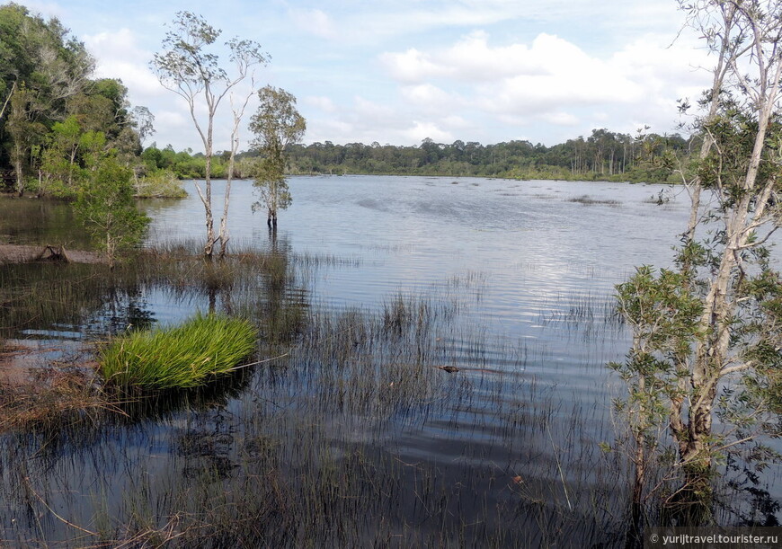 Озеро Luagan Lilak в лесном заповедном парке Taman Rekreasi Hutan Luagan Lalak