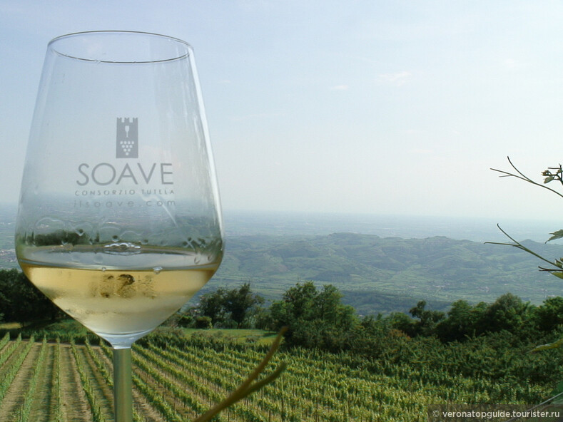 ЗАЛОГ УСПЕХА
Своим разнообразием оттенков и вкусов, вина Soave разрушили ошибочный миф о невозможности сочетания белых вин с традиционными русскими блюдами. 