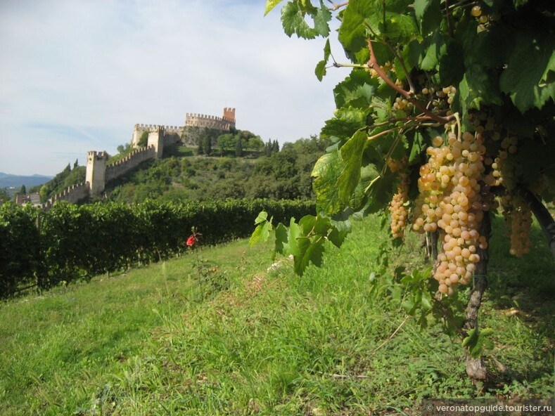 На северо-востоке Италии, в 30-ти километрах от Вероны, за холмами и виноградниками, скрывается настоящая жемчужина самобытной итальянкой культуры - средневековой городок Соаве (Soave). 