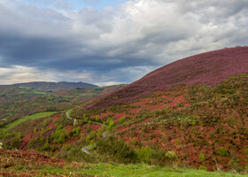 Camino de Santiago, путь паломника