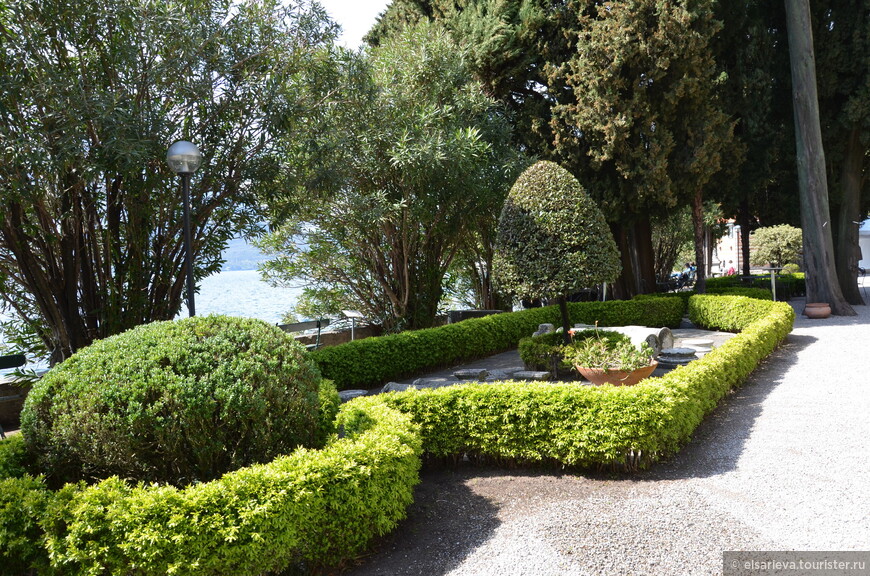 DSC_1136.JPG DSC_1136.JPG