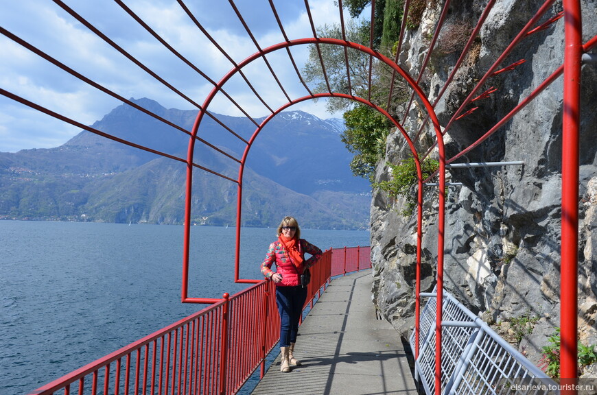 DSC_1197.JPG DSC_1197.JPG