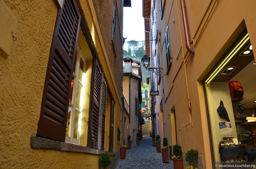 DSC_0980.JPG DSC_0980.JPG