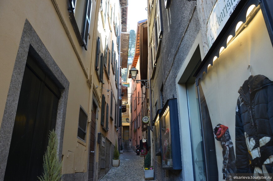DSC_0981.JPG DSC_0981.JPG