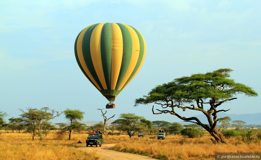 Полеты на воздушных шарах - излюбленное занятие избалованных и обеспеченных туристов. Такой часовой полет в Серенгети стоит 400 долларов.