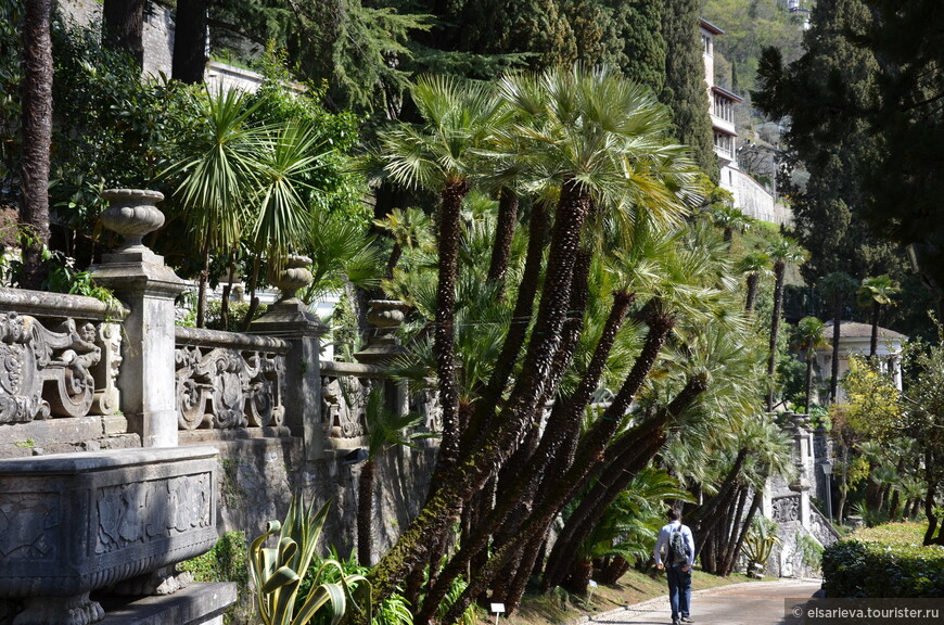 DSC_1126.JPG DSC_1126.JPG