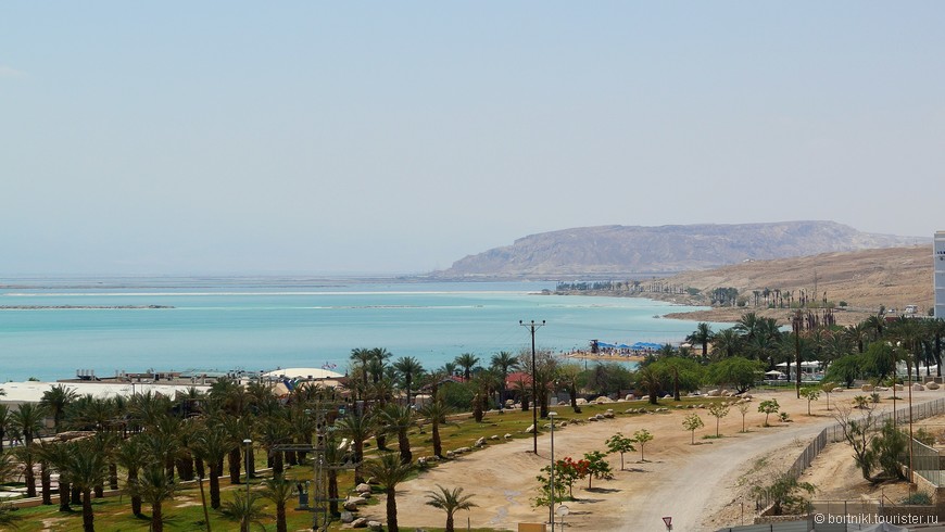Живая вода Мёртвого моря или укрощение Давида