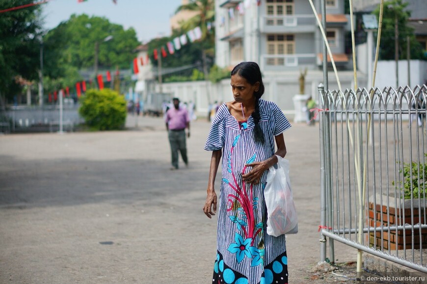 Приключения по Шри-Ланке: День 1. Держи вора, тапки спёрли! или знакомство со столицей Коломбо