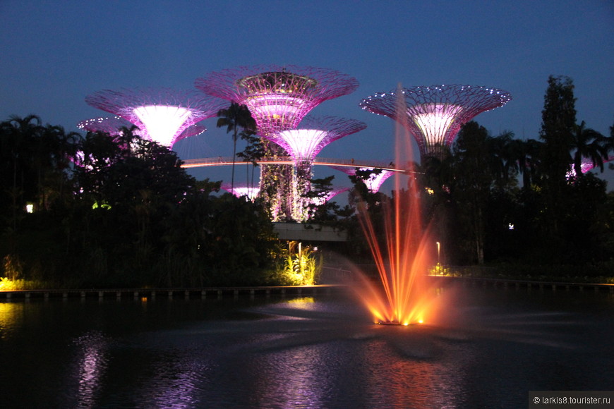 Достопримечательности Сингапура. День шестой. Световое шоу в Gardens by the Bay.Шоу Wonderful.   