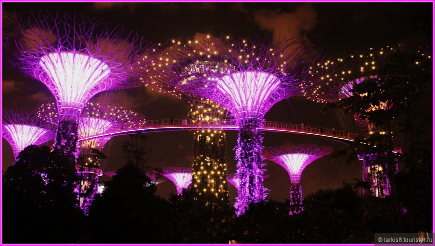 Достопримечательности Сингапура. День шестой. Световое шоу в Gardens by the Bay.Шоу Wonderful.   