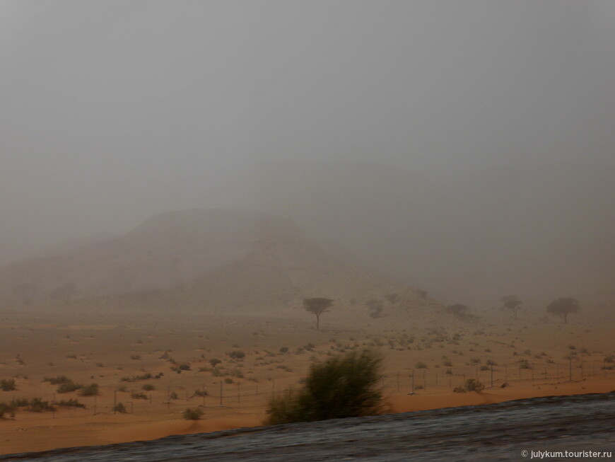 На востоке ОАЭ. Ч. 1: Буря в пустыне и зеленые озера Хатты