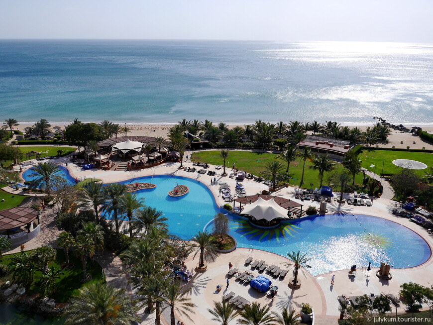 Бассейн отеля Le Meridien Al Aqah Beach Resort в Фуджейре.