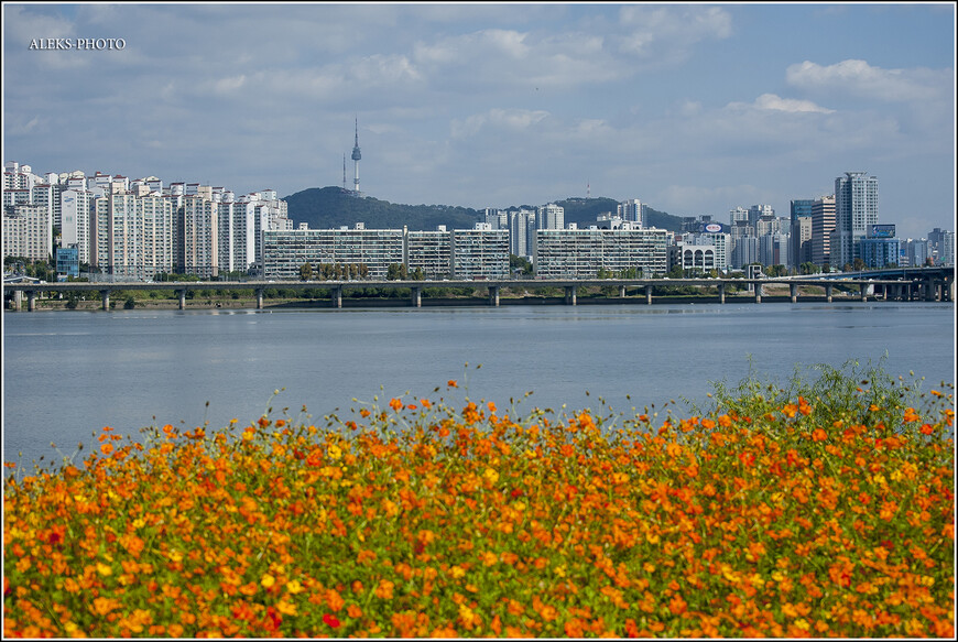 Мегаполис, в котором продумано все (Южная Корея)