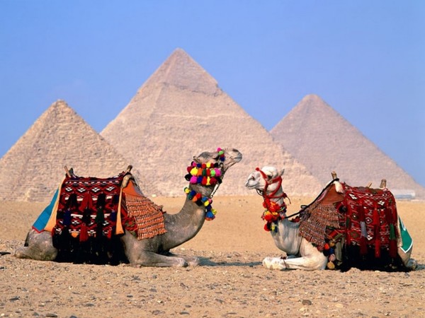 Каир. Заметки о самостоятельном отдыхе