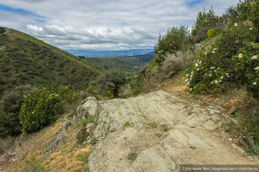 Camino de Santiago, путь паломника. Часть 2. Трудности