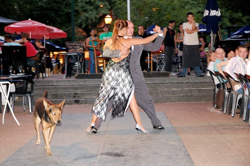 Каса Росада, Обелиск и аргентинское танго на улицах Буэнос-Айреса