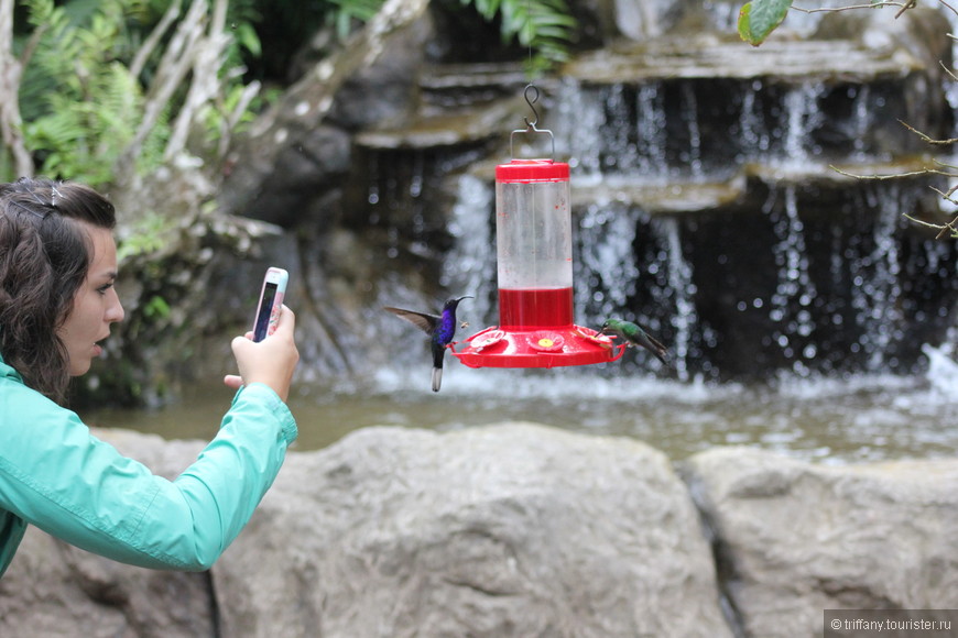 La Paz waterfalls garden, Costa Rica