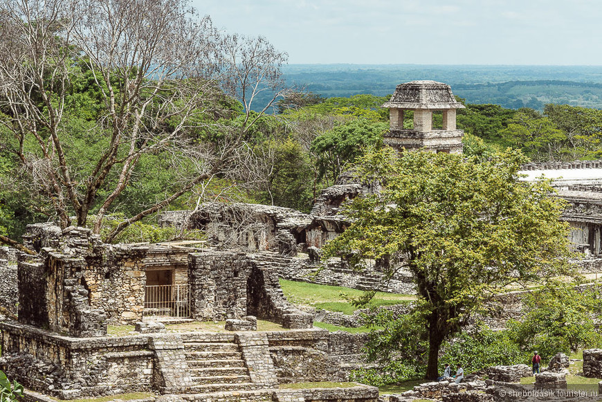 Пирамиды Мексики: ТОП-5 Шеболдасика и Андрюсикса