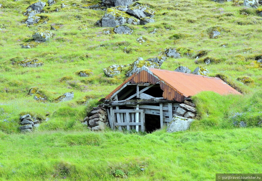 Раньше исландцы жили вот в таких домах