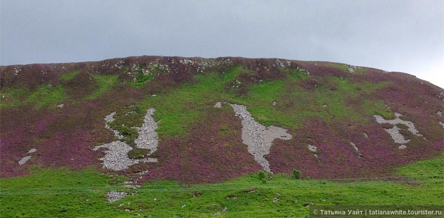 Вересковые склоны Шотландии