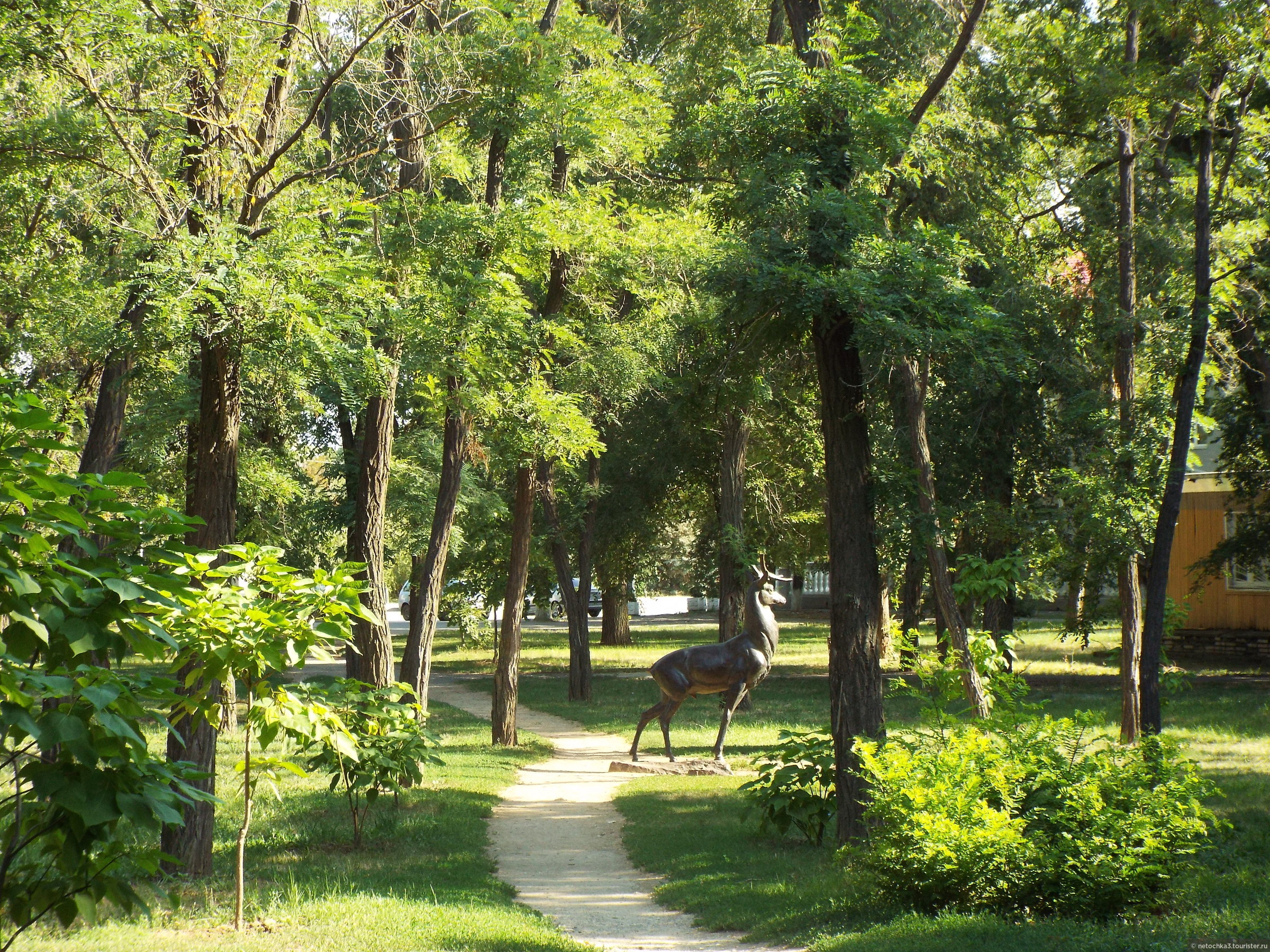 Парк в волгодонске