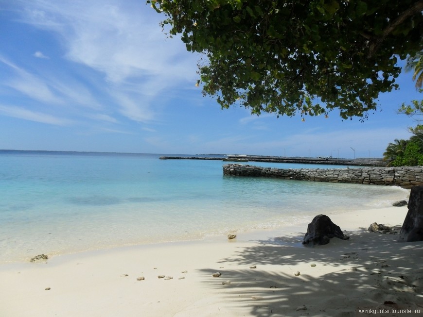 Мальдивы - идеальное место для свадебного путешествия