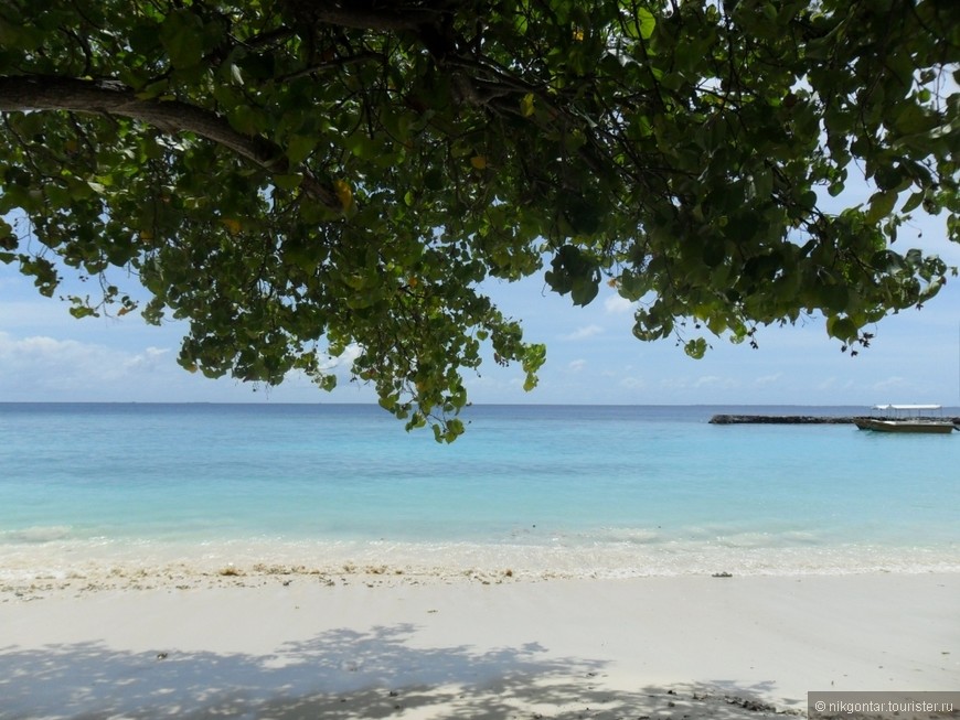 Мальдивы - идеальное место для свадебного путешествия