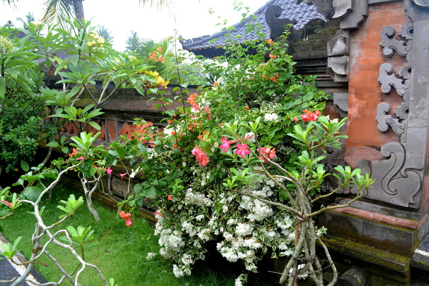 Балийский дом, быт и образ жизни