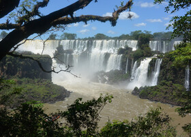 Дождевой лес и аргентинские водопады Игуасу