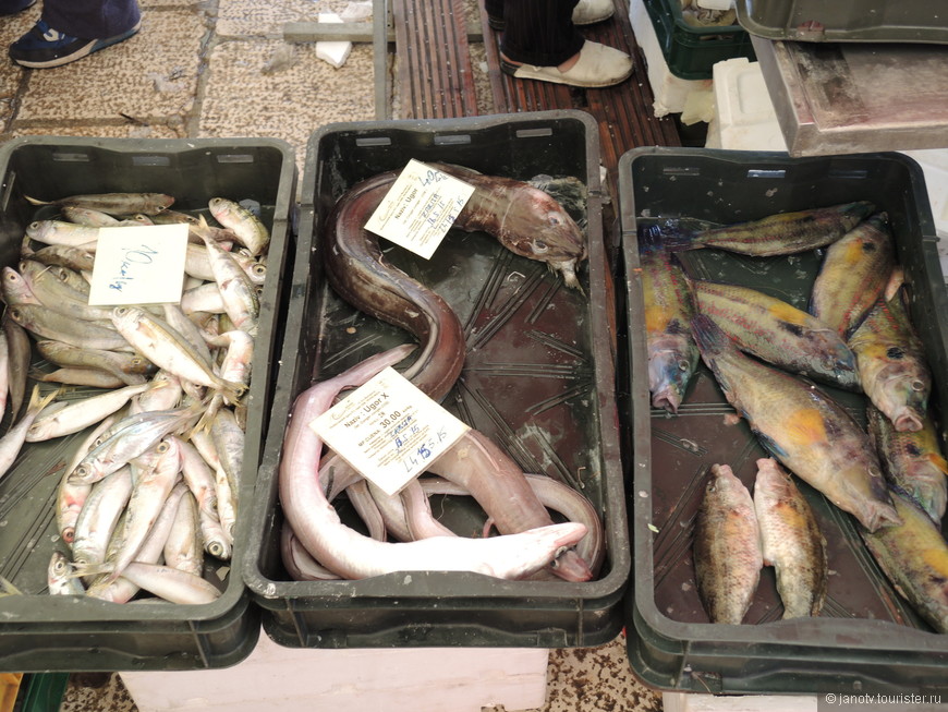 Рыбы на рыбном рынке в Сплите