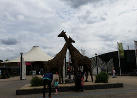 Зоопарк в Роттердаме