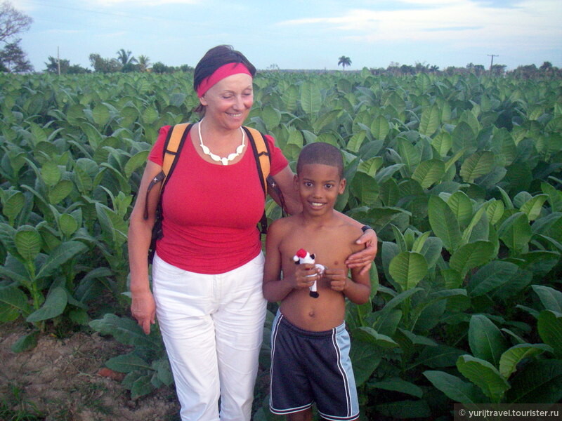 Куба. Экскурсии из Гаваны на запад острова