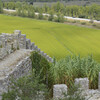 рисовые поля у стен крепости