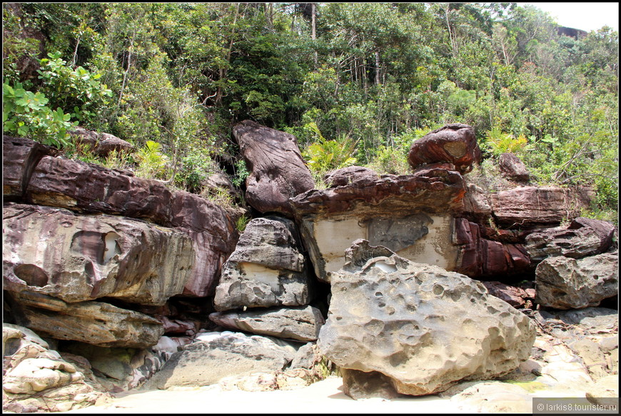 Достопримечательности Борнео (Малайзия). День восьмой. Национальный парк Бако