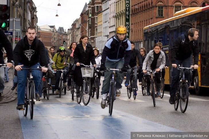 Аренда велосипедов в Копенгагене