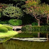 Японский Восточный  сад