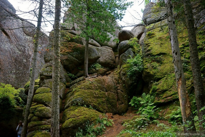 Покоряем Сибирь. Красноярские столбы. Часть 1