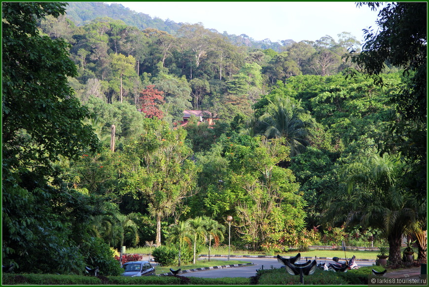 Достопримечательности Борнео. Дамаи — отличный релакс после длительного путешествия