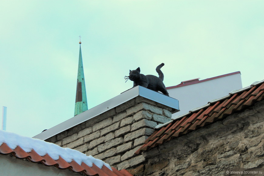 Фирменные черные коты Таллина