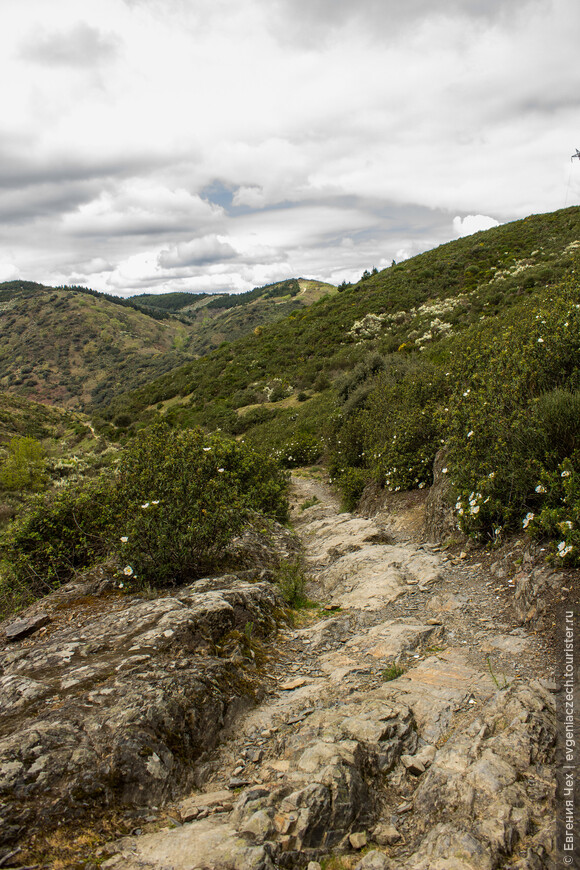 Camino de Santiago, путь паломника. Часть 4. От Асторги до Молинасеки