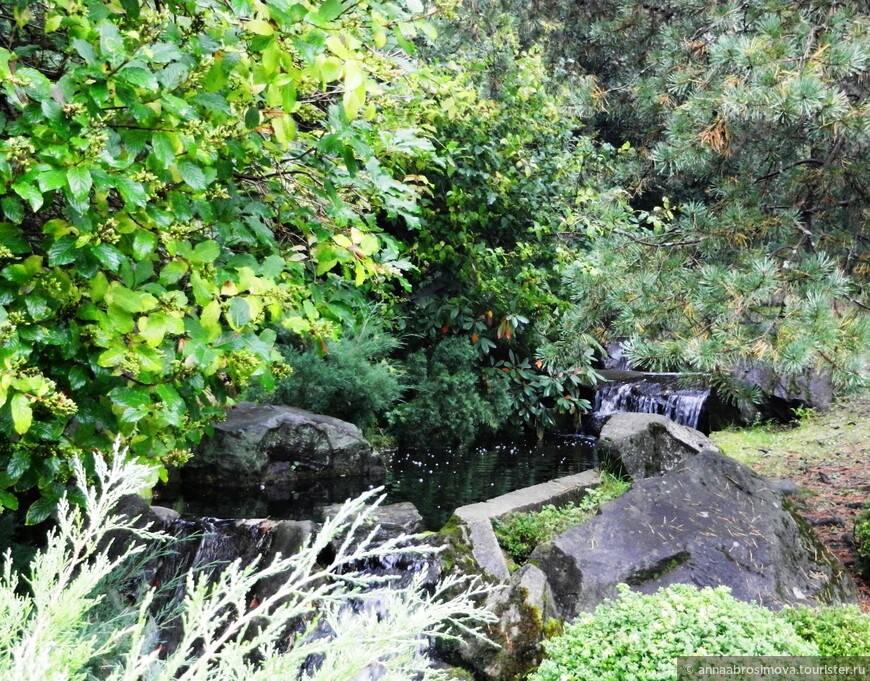 Уголок Японии в московском ботаническом саду