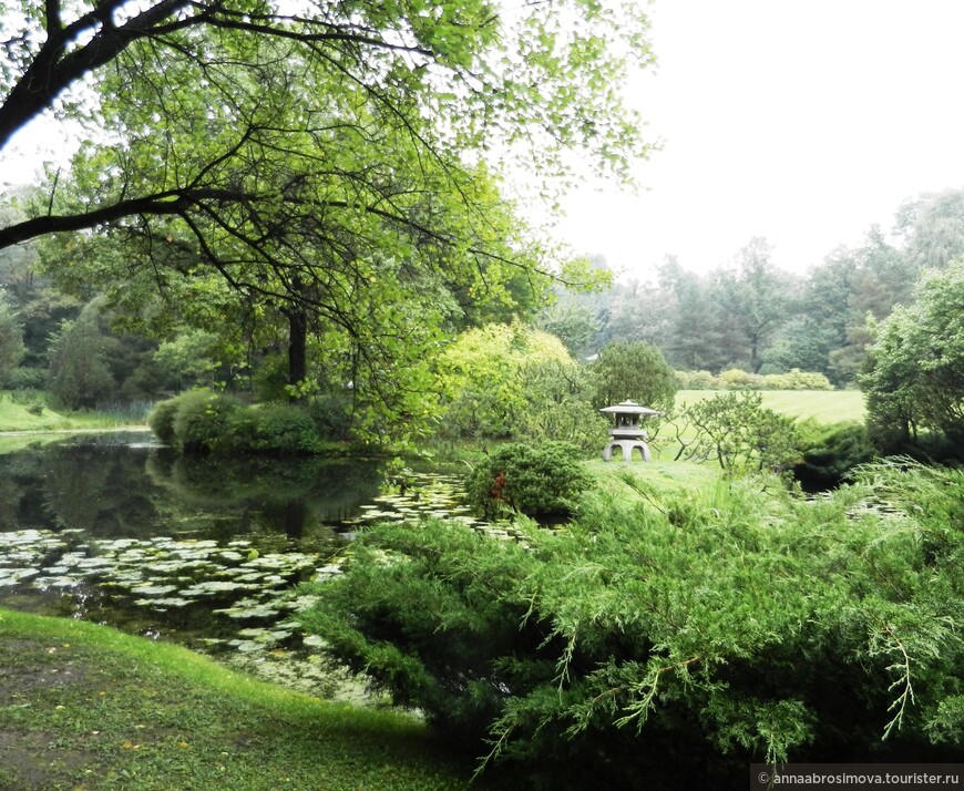 Уголок Японии в московском ботаническом саду