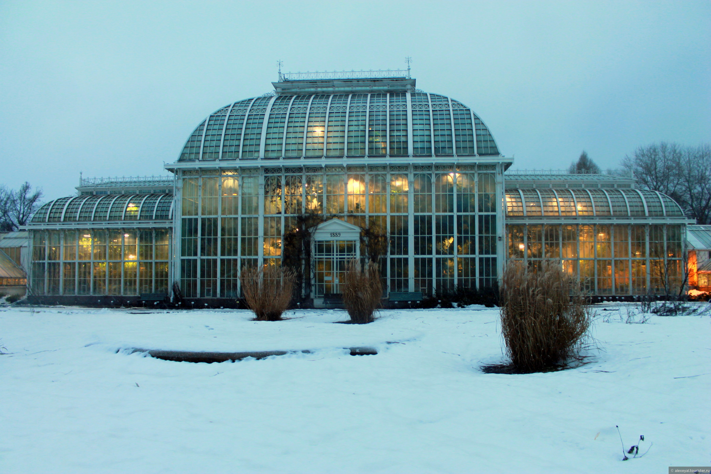 Темиртау сад. Ботанический сад Санкт-Петербург зимой. Ботанический сад Новосибирск зимой. Зимний сад в Хельсинки. Оранжерея Таврического сада в Санкт-Петербурге зимой.