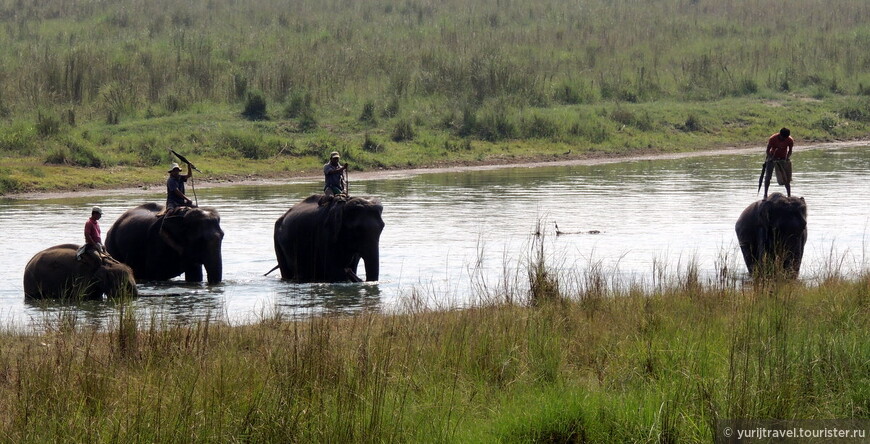 Говорят, что в экскурсии на слонах можно увидеть больше животных
