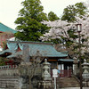 Одно из строений храма Нарита-сан Синсёдзи
