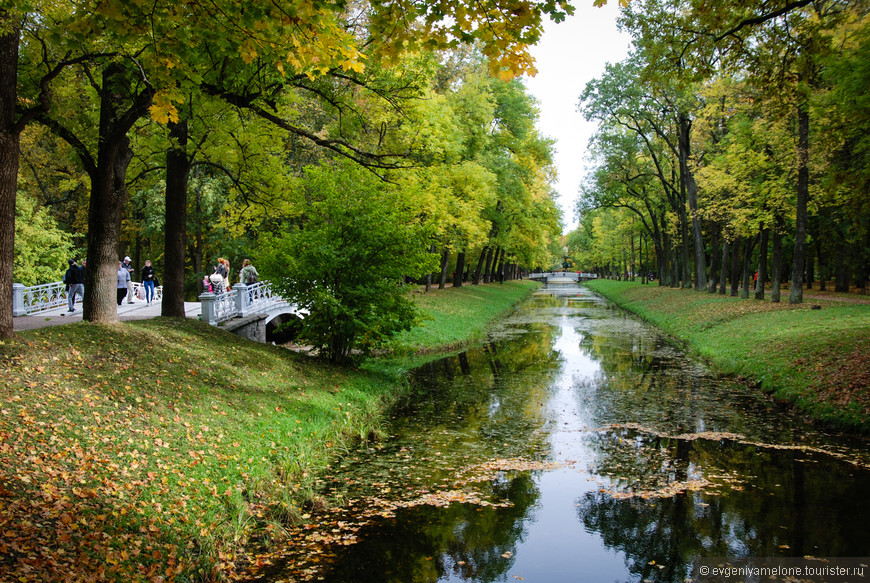 Царское Село. Золотая осень