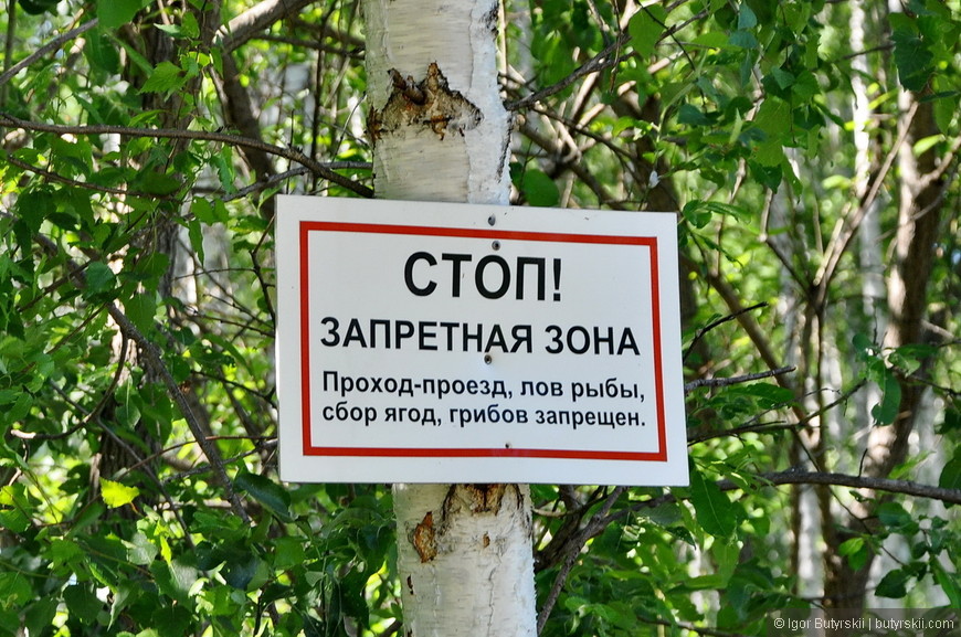Почему нельзя собирать ягоды. Сбор грибов запрещен. Сбор грибов и ягод запрещен. Табличка в лесу. Запретная зона проход запрещен.